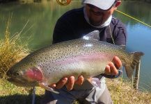 Juan Antonio Pérez Figueroa 's Fly-fishing Photo of a Rainbow trout | Fly dreamers 