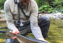 Nice Fly-fishing Situation of Rainbow trout - Photo shared by Uros Kristan - URKO Fishing Adventures | Fly dreamers 