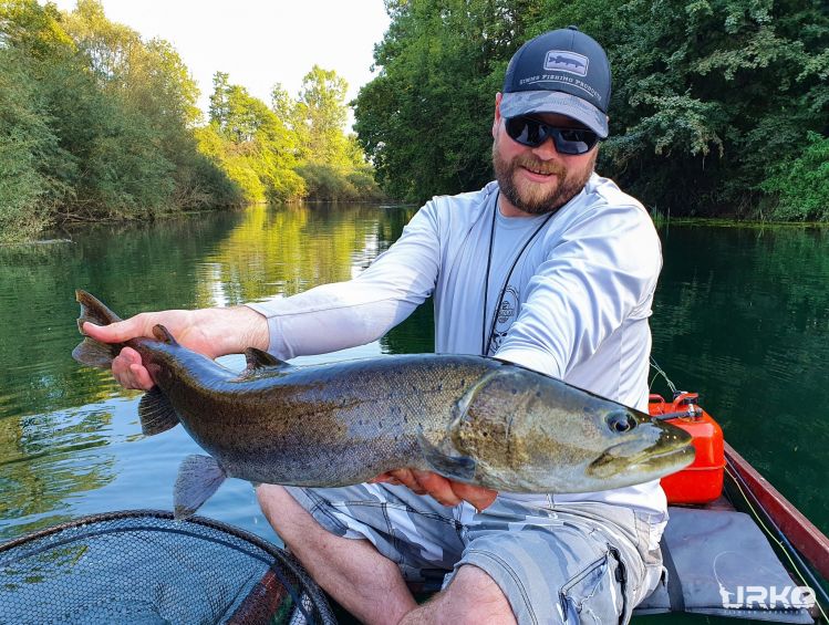 We got this early bird while we're chasing pike on a fly at our home river Ljubljanica