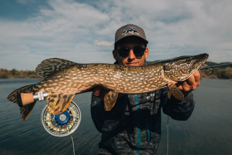 Pike time of year in Croatia.