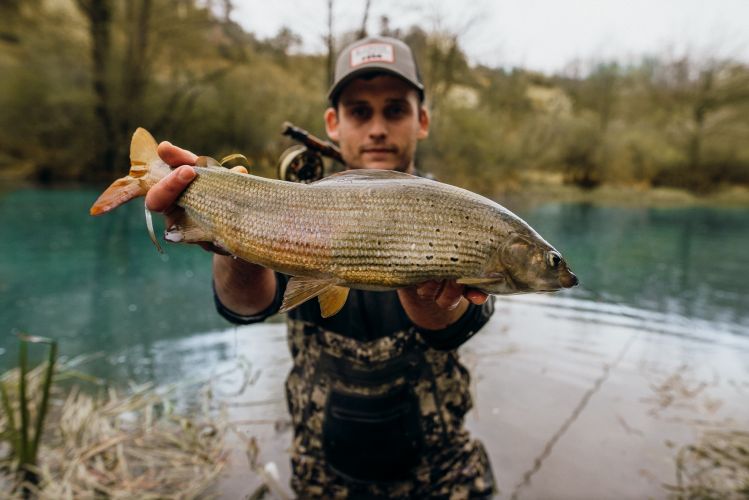 Croatian Grayling from a beautiful stream Slunjčica