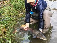 Flyfishing in Slovenia with Flyfishingodec Slovenia