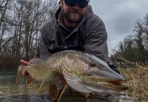 Pike Fly-fishing Situation – Uros Kristan - URKO Fishing Adventures shared this Pic in Fly dreamers 