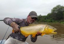  Captura de Pesca con Mosca de River tiger por Pablo Gustavo Castro | Fly dreamers