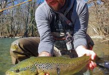 Fly-fishing Situation of Salmo trutta - Image shared by Uros Kristan - URKO Fishing Adventures | Fly dreamers