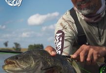  Captura de Pesca con Mosca de Tararira por Kid Ocelos | Fly dreamers