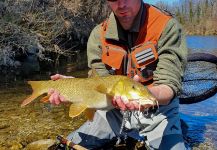 barbeau truité Fly-fishing Situation – Uros Kristan - URKO Fishing Adventures shared this Cool Image in Fly dreamers 