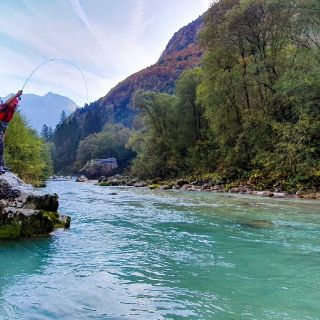 Fly fishing in Slovenia with URKO Fishing Adventures

More info: http://www.urkofishingadventur