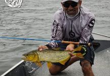 Fly-fishing Picture of Golden Trevally shared by Kid Ocelos | Fly dreamers