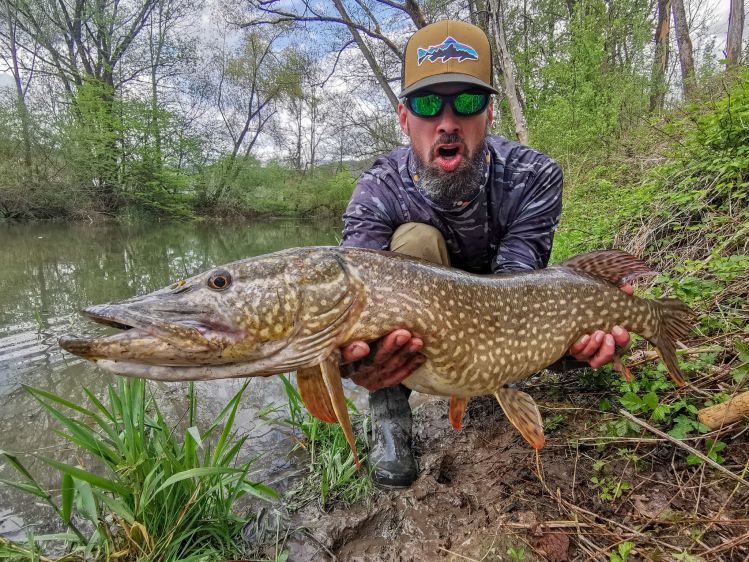In May, pike season started, and Žiga already went big, landing his biggest pike on a fly. 