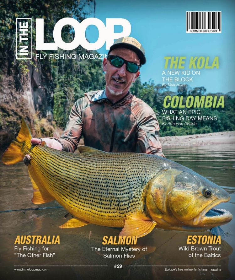 In the Loop Magazine - Issue 29