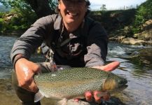 John Langcuster 's Fly-fishing Photo of a Rainbow trout | Fly dreamers 