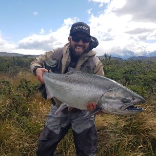 Chinook salmon from Serrano river in Torres del Paine National Park