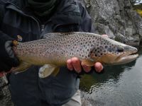 Foto de pesca con mosca