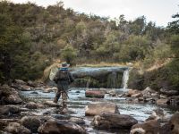 Fly fishing picture