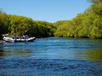 Fly fishing picture