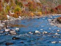 Fly fishing picture