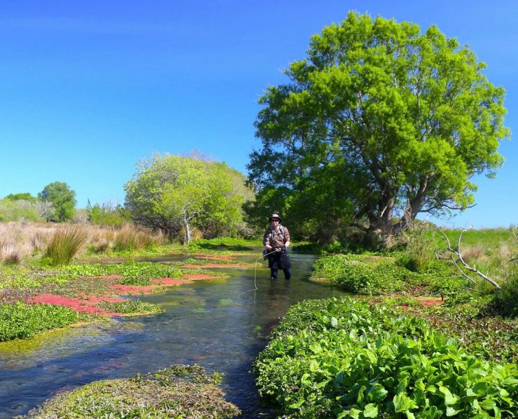 New Zealnd Spring Creek 