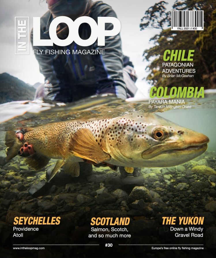 In the Loop Magazine - Issue 30. <a href="https://issuu.com/intheloopmagazine/docs/in_the_loop_mag_no30-2">https://issuu.com/intheloopmagazine/docs/in_the_loop_mag_no30-2</a>

Front cover by Robert Dotson