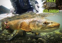  Captura de Pesca con Mosca de Salmo fario por In The Loop Magazine | Fly dreamers
