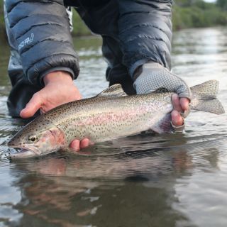 Fly fishing picture