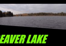 Beaver Lake Fishing Near Caroline Alberta