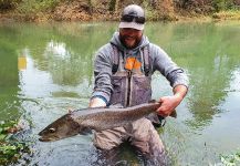 Fly-fishing Situation of Danube Salmon - Hucho Hucho shared by Uros Kristan - URKO Fishing Adventures 