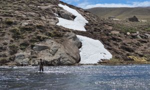 Los cerrillos (varvarco campos y tapia) Lagunas de Epulauquen, Vacalauquen. Rio Nahueve, Buraleo, Neuquen-, Norte Neuquino, Neuquen, Patagonia Argentina, Argentina