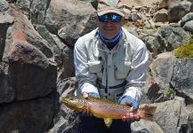 Fly-fishing Picture of Salmo fario shared by Nicolas Hanggi Chaladrian | Fly dreamers