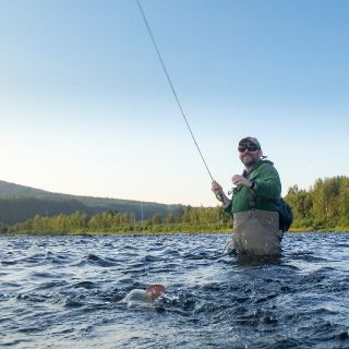 Fly fishing for trout, grayling, Whitefish and Pike on the river Glomma