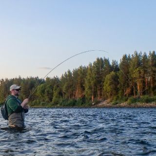 Fly fishing for trout, grayling, Whitefish and Pike on the river Glomma