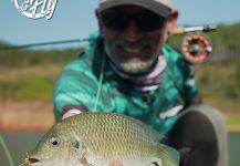  Captura de Pesca con Mosca de Tilapia del Nilo por Kid Ocelos | Fly dreamers