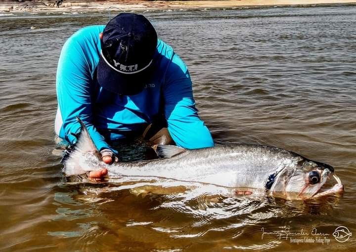 Rio Orinoco Colombia