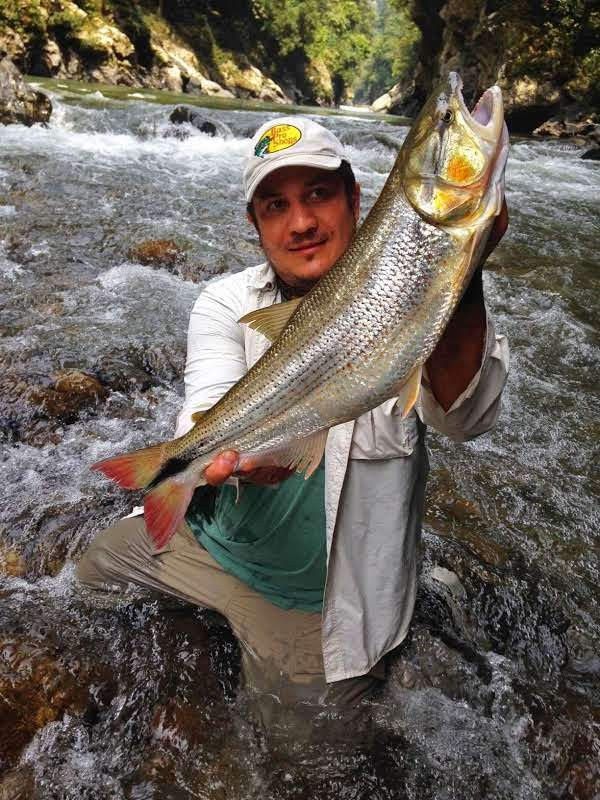 Pesca en Colombia