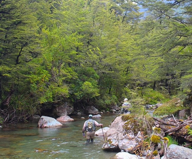 Backcountry Fishing in South Island NZ