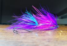 Damian Puelpan 's Fly-tying for Steelhead - Picture | Fly dreamers 