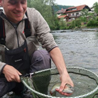 First ever #rainbowtrout for Peter