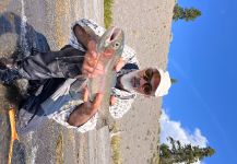 Fiorenzo Rasparini 's Fly-fishing Catch of a Rainbow trout | Fly dreamers 