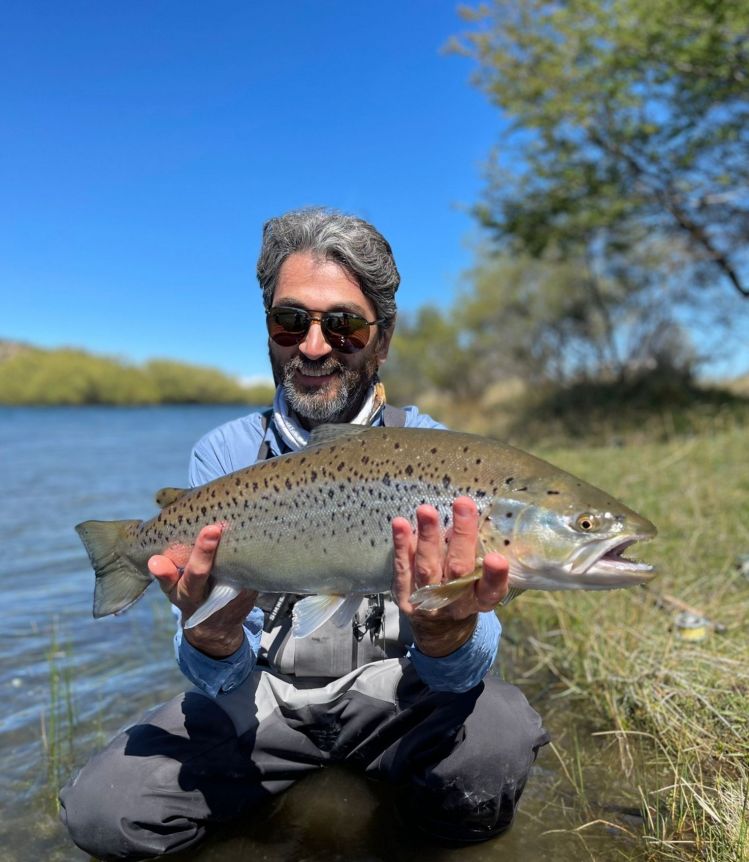 Limay Brown Trout - Nahuel Huapi