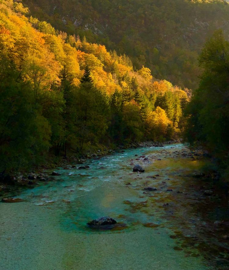 Catch a fish there is nothing. Better stand on a bridge and watch out the nature suggests....