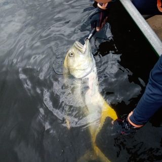 Foto de pesca con mosca