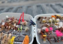 Fly-tying for Marrones - Pic shared by Maby Rojas | Fly dreamers 