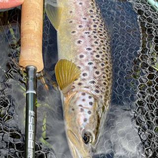 Quality Fly Fishing Tackle provided