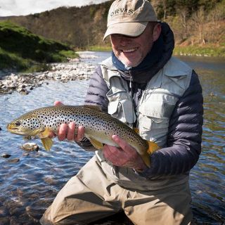 Wild brown trout from River Tweed