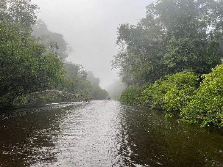 navergando en la selva - Selva de Matavén - Colombia