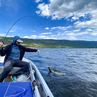 Pike on the fly at Lomnessjøen.