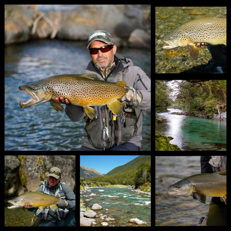 A snippet of the amzing trout caught and showed on the movie Insight: Chasing The Magic. 3 Chapters now available on Youtube @mikefsher. Enjoy watching!