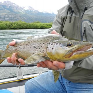 Foto de pesca con mosca