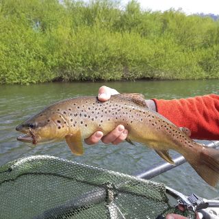 Foto de pesca con mosca