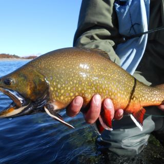 Foto de pesca con mosca